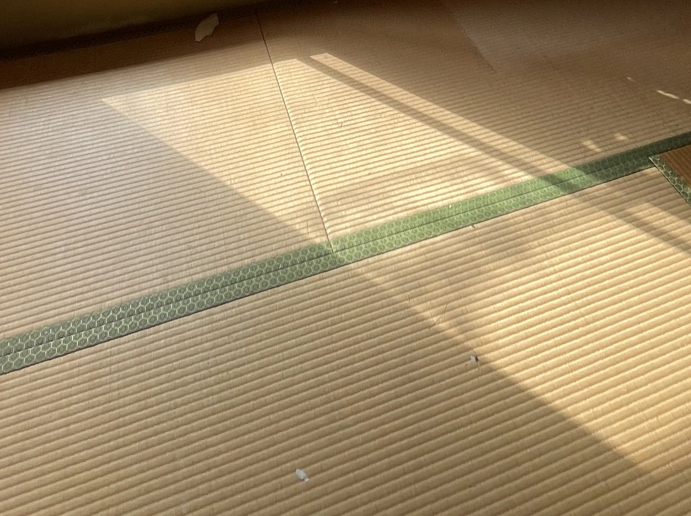 藤井寺市周辺の畳張替え施工例（張替え前）